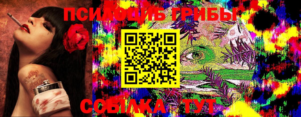 Галлюциногенные грибы MAGIC MUSHROOMS  Вход с VPN  Курчалой 