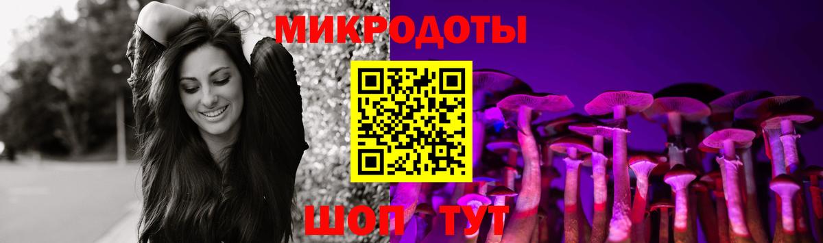 Псилоцибиновые грибы Psilocybe Курчалой